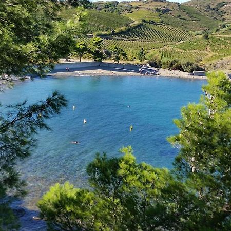 Les Hauts De Port Vendres Exterior foto